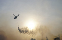 Понад 200 чоловік та 20 одиниць техніки продовжують ліквідовувати пожежу у лісі на Ужгородщині (ФОТО)