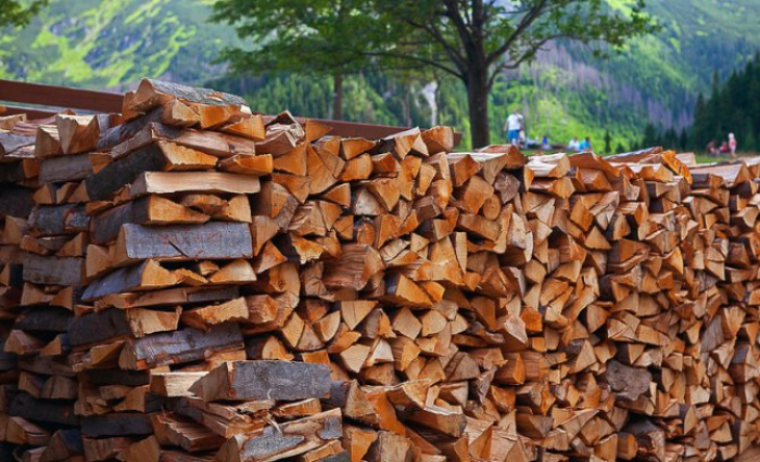 Дефіцитні дрова: як питання з паливом на зиму вирішують в Закарпатті (ВІДЕО)