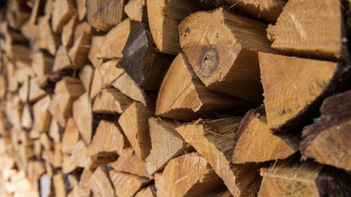 Зима близько: як на Закарпатті лісгоспи готуються до забезпечення населення паливними дровами