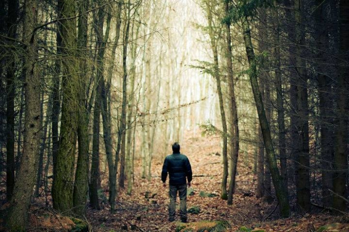 На Ужгородщині шукають чоловіка, який пішов у ліс і не повернувся