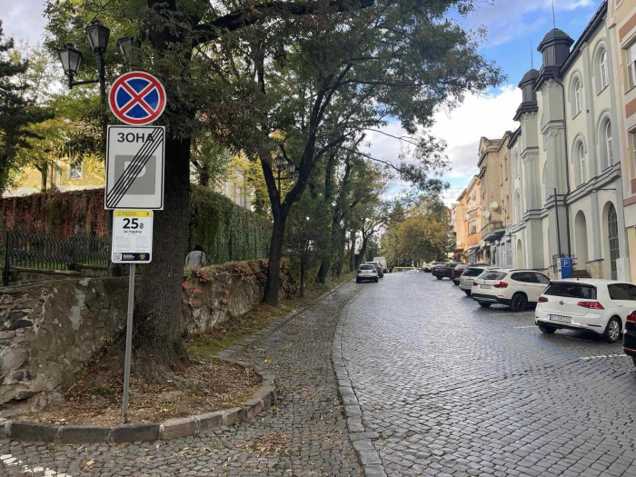 Минулого тижня муніципали оштрафували в Ужгороді понад 350 водіїв