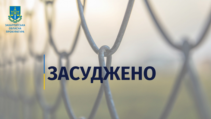 7 років ув’язнення отримав закарпатець за сприяння незаконному переправленню військовозобов’язаних