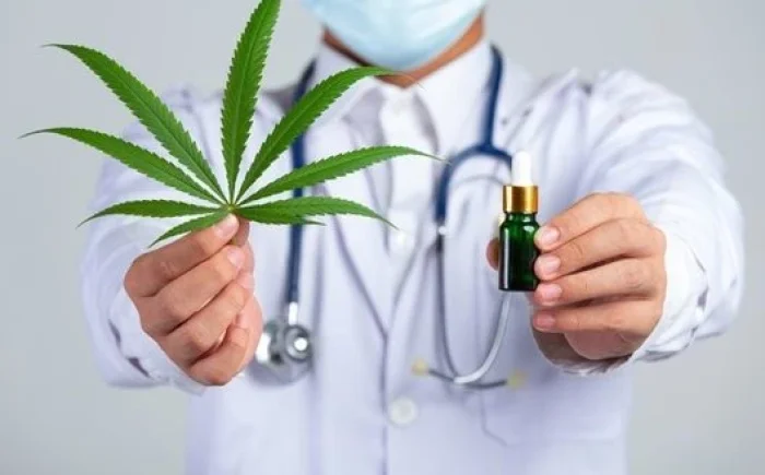 Верховна Рада легалізувала медичний канабіс: що зміниться для українських пацієнтів?