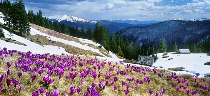 Прогноз погоди в Закарпатті на понеділок