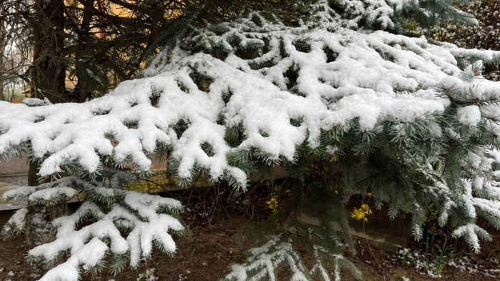 Можливі сходження лавин. На Закарпатті оголосили штормове попередження