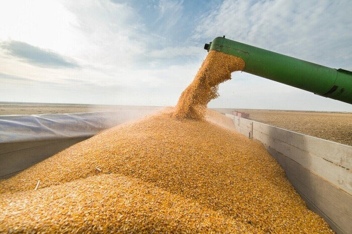 Єврокомісія домовилась з п'ятьма країнами про зняття заборони на імпорт українського зерна