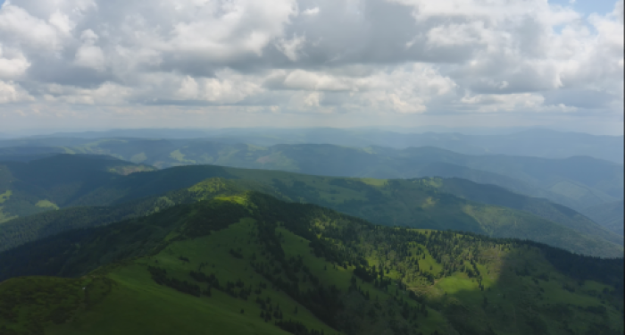 Аудит в лісовому господарстві, або Реформа як щит від фінансового контролю «газдування» в лісах