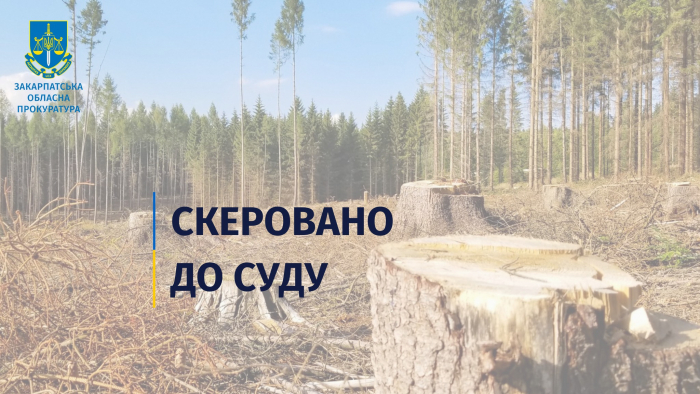 На Закарпатті службова недбалість керівника лісництва призвела до збитків у 1,1 млн гривень