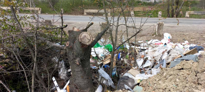 На Ужгородщині зафіксували кілька стихійних сміттєзвалищ (ФОТО)