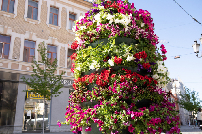 Квіткові композиції на площі Шандора Петефі тішать ужгородців та гостей міста 
