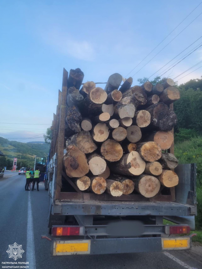 На Закарпатті виявили водія, який незаконно перевозив деревину