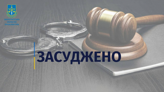 На Берегівщині суд виніс вирок водієві, який перевозив до прикордоння 27 чоловіків призовного віку