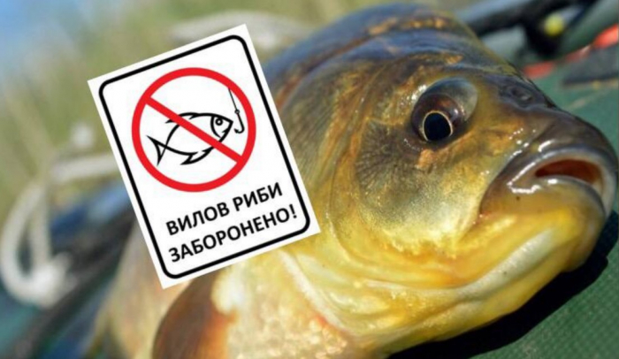Завтра, 25 березня, на Закарпатті розпочинається нерестова заборона на вилов риби