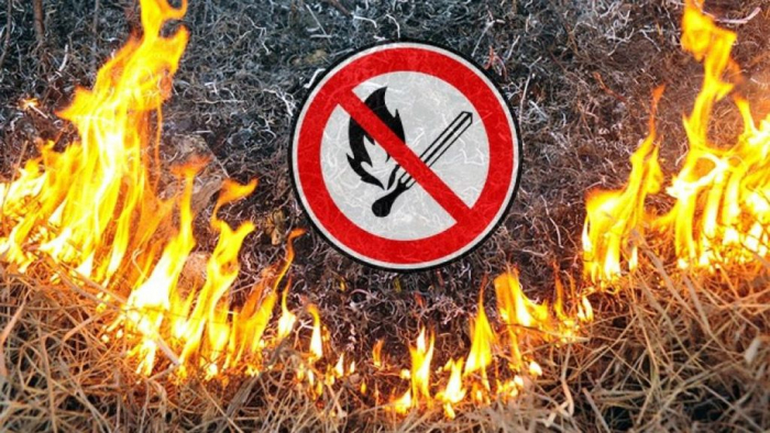 Екологи попереджають: спалювання сухого листя і трави заборонене законом!
