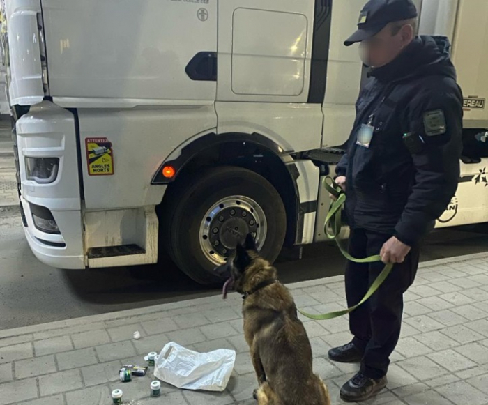 Службовий собака прикордонників знайшов у вантажівці громадянина Франції канабіс