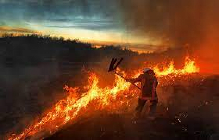 Сезон пожеж: рятувальники закликають не спалювати суху траву

