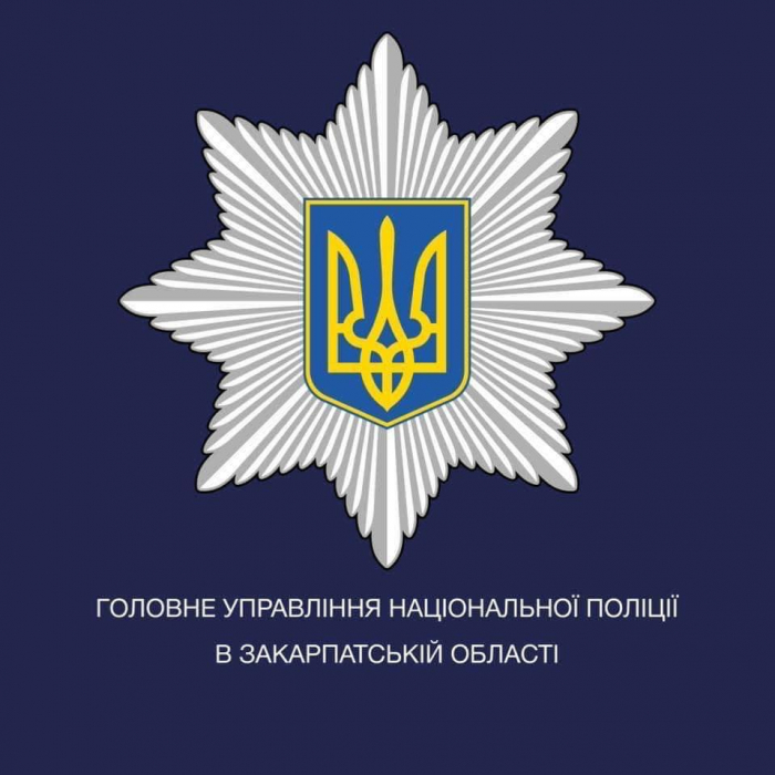 Поліція Міжгір`я завершила розслідування за фактом убивства собаки у Пилипці: обвинувачений постане перед судом