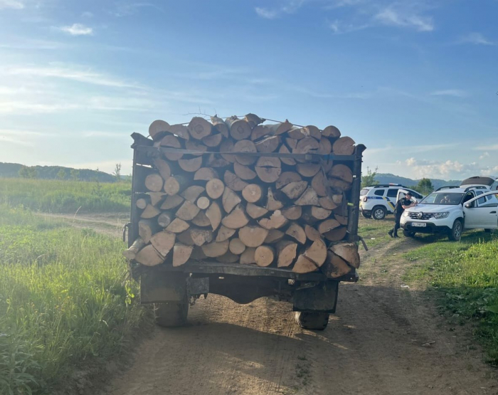 Затримали двох закарпатців, які незаконно вирубували деревину біля кордону зі Словаччиною

