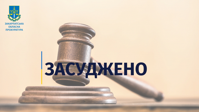 На Тячівщині засуджено місцеву жительку, яка підтримувала путіна та звинувачувала Україну у розстрілі мирного населення
