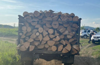 Затримали двох закарпатців, які незаконно вирубували деревину біля кордону зі Словаччиною

