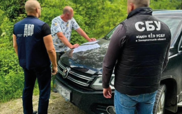 Перед судом постане посадовець лісового господарства зі Закарпаття, який допустив незаконну рубку дерев на 1,5 млн грн