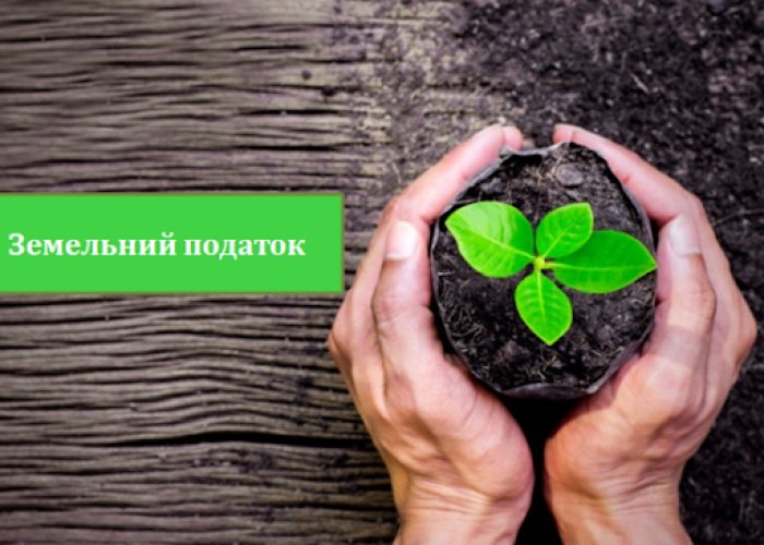 З початку року землевласники сплатили до бюджету Закарпаття понад 320 млн гривень