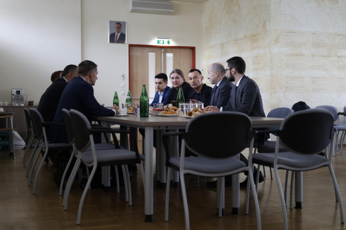 Розвиток енергетики, співпраця в галузі освіти й медицини – ключові теми зустрічі посадовців Закарпатської ОВА в Австрії