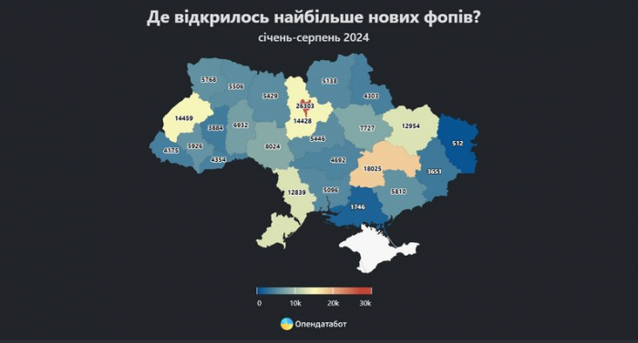 Закарпаття у п'ятірці областей з найменшою кількістю нових ФОПів, зареєстрованих від початку 2024 року — Опендатабот