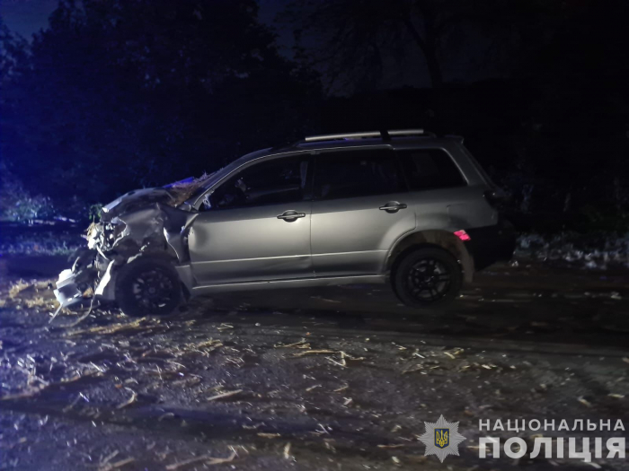 Поліцейські затримали водія, який п'яним скоїв ДТП