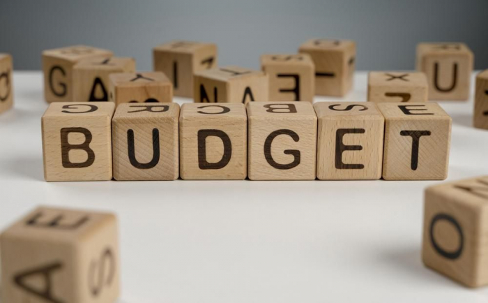 Майже 12,3 млрд грн податку на доходи фізичних осіб перерахували роботодавці на Закарпатті