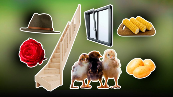 Пітятко, ружа, тинґириця, калап, ґарадичі: топ-25 слів закарпатського діалекту