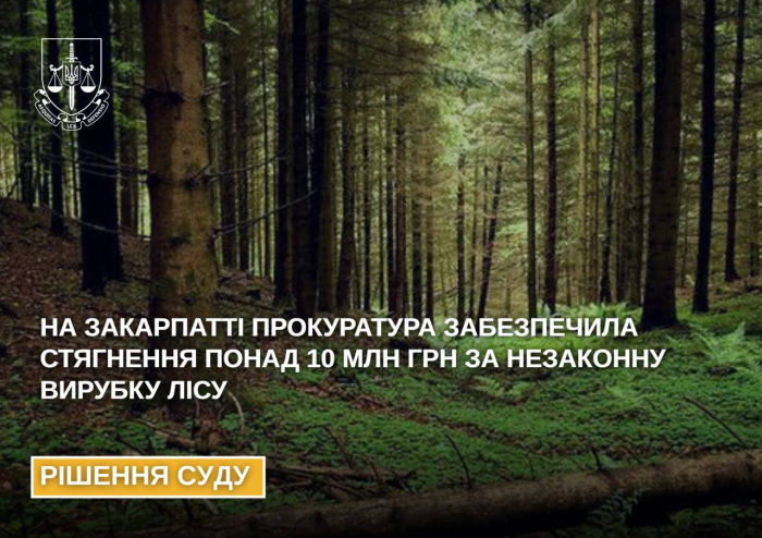 На Закарпатті прокуратура забезпечила стягнення понад 10 млн грн за незаконну вирубку лісу