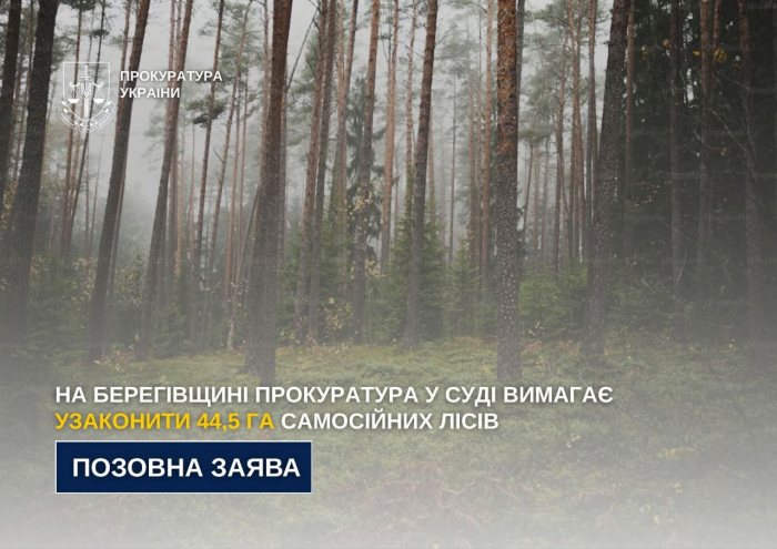 На Берегівщині прокуратура у суді вимагає узаконити 44,5 га самосійних лісів

