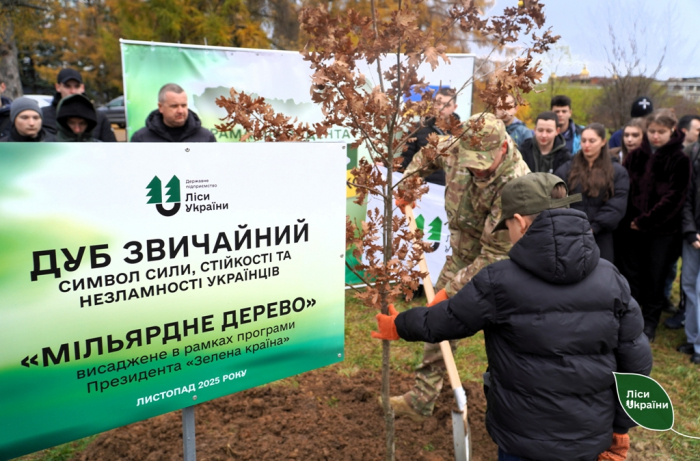 Символічне «мільярдне» дерево на Закарпатті зростатиме у парку Ужгородського національного університету