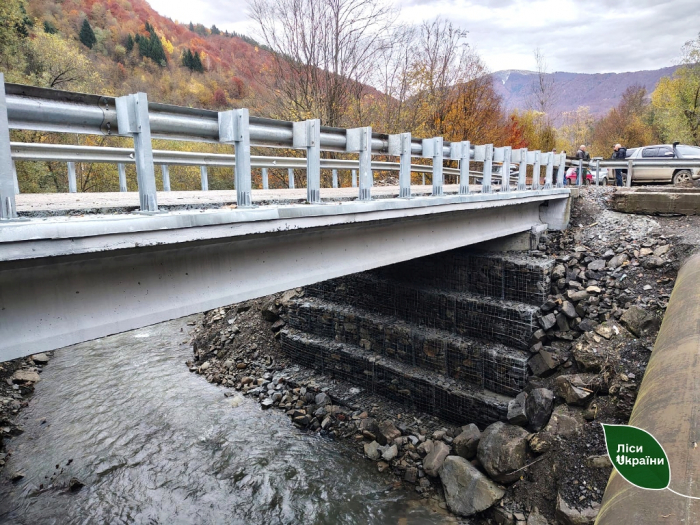 На Закарпатті відновлено міст через гірську річку
