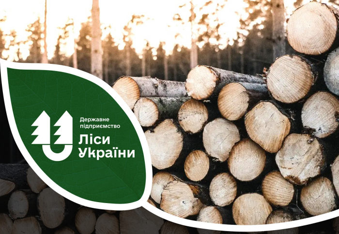 У Карпатській філії ДП "Ліси України" оголосили про старт аукціонів на укладання форвардних контрактів 