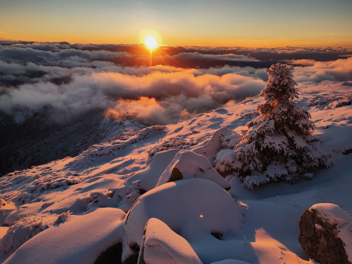 Карпати у зимовій красі: відомий гірський рятувальник поділився новими світлинами Чорногори