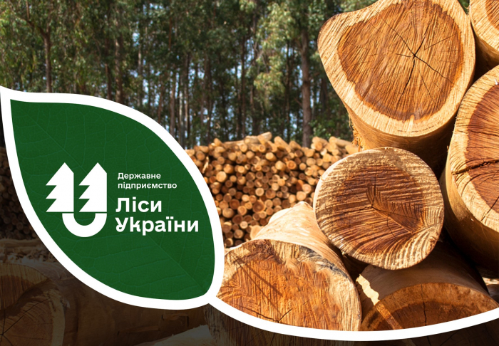 Карпатський лісовий офіс: завершено форвардні торги на перше півріччя 2026 року