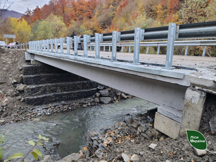 На Закарпатті відновили міст через гірську річку, зруйнований паводком