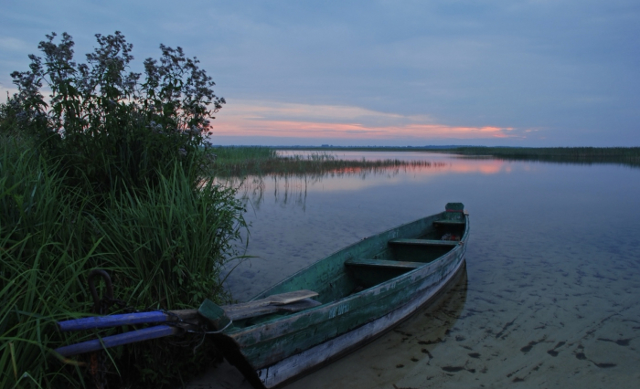 Найкращі місця в Україні для спостереження за перелітними птахами восени

