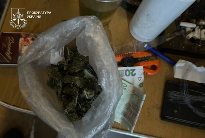 Наркооранжерея в багатоповерхівці: жителя Мукачева засудили за збут метамфетаміну