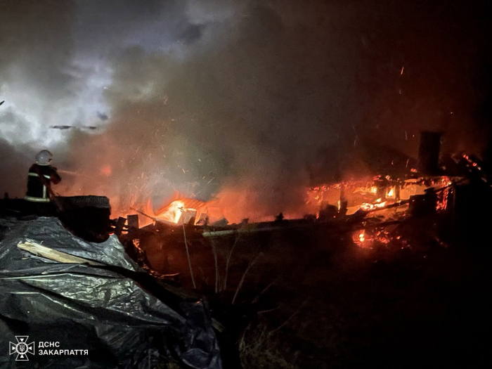 Велику пожежу ліквідували вогнеборці Тячівщини