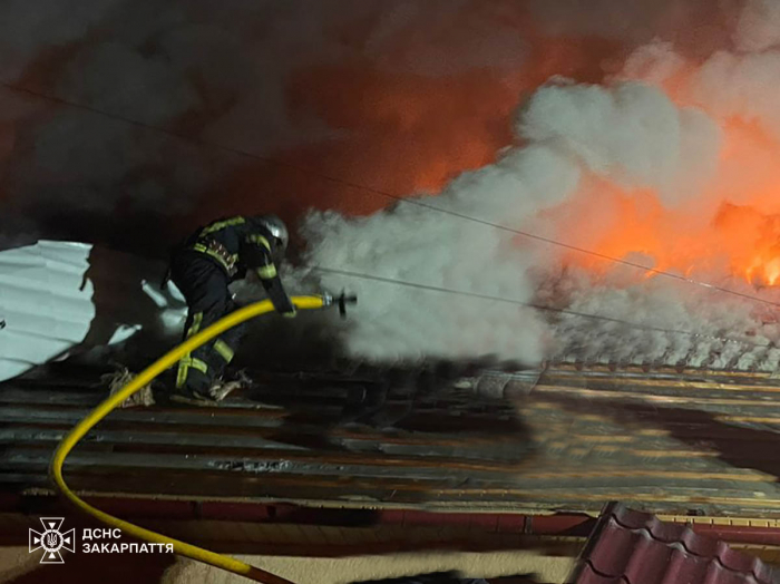 Рятувальники ліквідували пожежу в житловому будинку на Хустщині