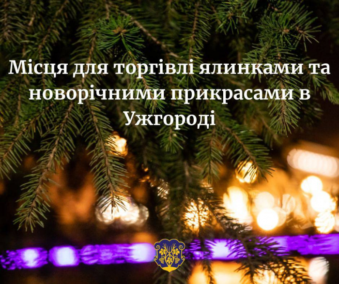 В Ужгороді визначили місця для торгівлі ялинками та новорічними прикрасами