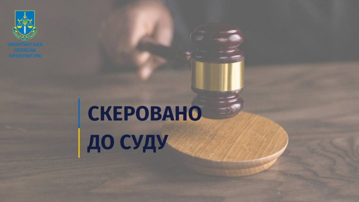 Уникнення оподаткування із мільйонними збитками – на Закарпатті судитимуть колишнього директора лісгоспу

