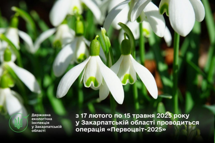 На Закарпатті проводять операцію «Первоцвіт-2025»
