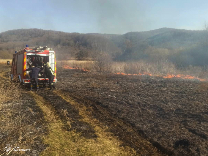 Закарпатські рятувальники ліквідували 78 пожеж сухостою за добу. Найбільше - на Мукачівщині