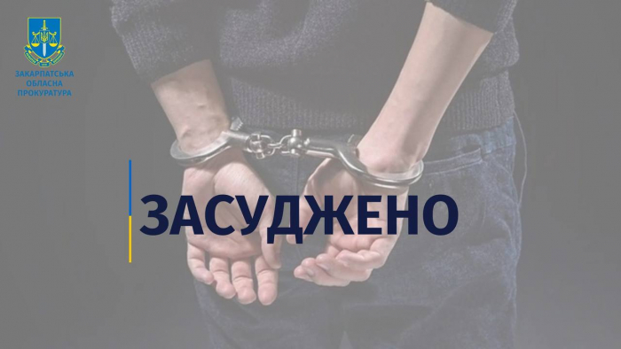 8 років ув’язнення та конфіскація майна – вирок селищному депутату за напад і незаконне утримання у підвалі групи іноземців

