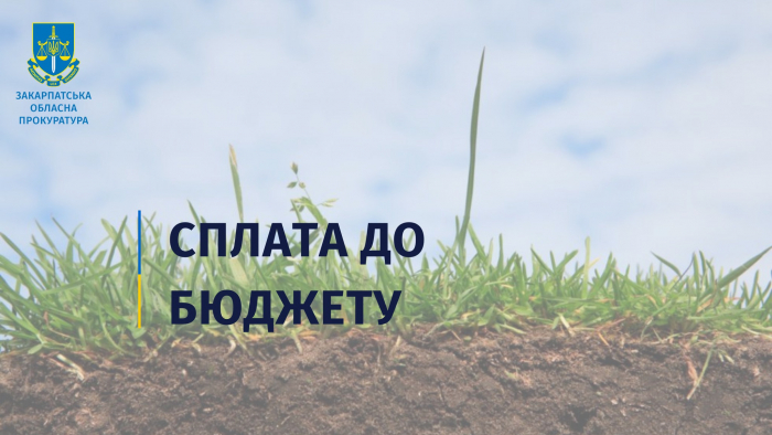 За позовом прокуратури на Мукачівщині недобросовісний орендар сплатить до бюджету майже 800 тис. грн боргу