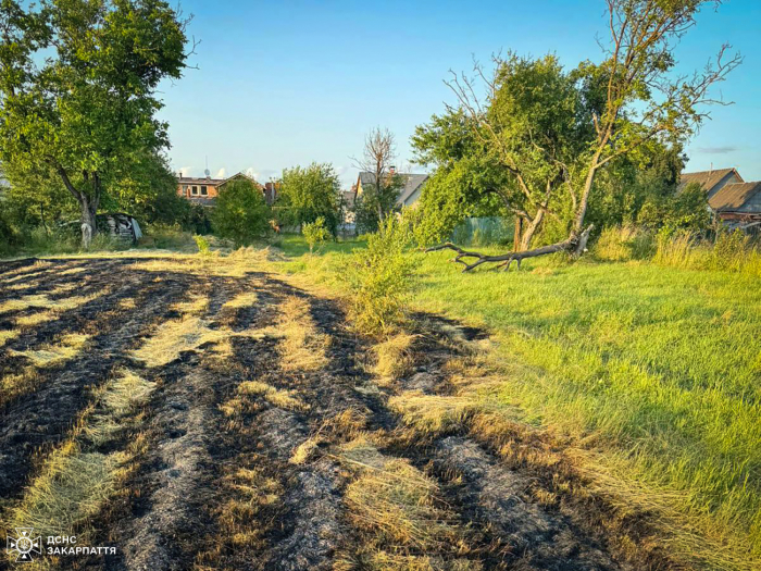 Ужгородщина — серед лідерів за кількістю пожеж в екосистемах